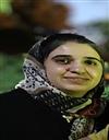 فنی و مهندسی مجموعه مهندسی کامپیوتر مهندسی کامپیوتر - نرم افزار