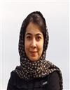فنی و مهندسی مجموعه مهندسی کامپیوتر مهندسی کامپیوتر - نرم افزار