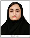 علوم پایه مجموعه ریاضی ریاضی کاربردی