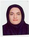فنی و مهندسی مجموعه مهندسی کامپیوتر مهندسی کامپیوتر - نرم افزار
