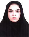 علوم انسانی مجموعه زبان انگلیسی آموزش زبان انگلیسی
