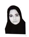 علوم انسانی مجموعه زبان انگلیسی مترجمی زبان انگلیسی