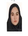 فنی و مهندسی مجموعه مهندسی کامپیوتر مهندسی کامپیوتر - نرم افزار