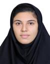 هنر نوازندگی ساز جهانی نوازندگی ساز جهانی