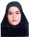 علوم انسانی مجموعه حقوق حقوق عمومی